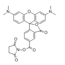 5(6)-羧基四甲基罗丹明琥珀酰亚胺酯