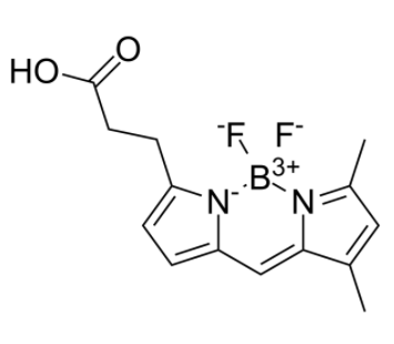 BODIPY FL carboxylic acid 
