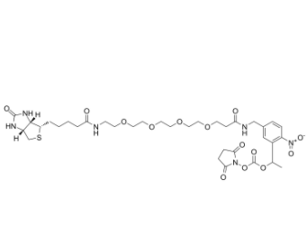 	PC-Biotin-PEG4-NHS carbonate 