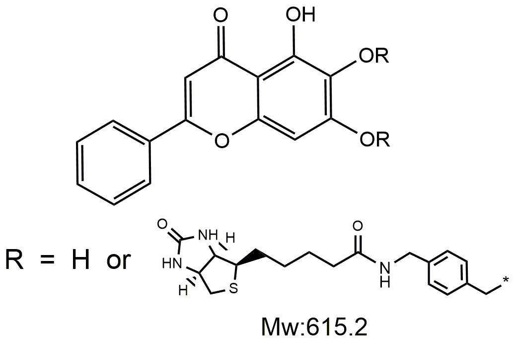 生物素-黄芩素，Biotin-Baicalin