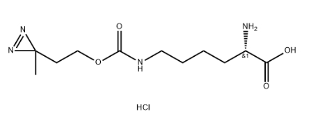 H-L-Photo-lysine HCl