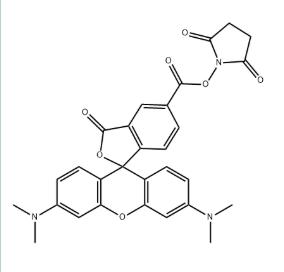 5-TAMRA NHS ester