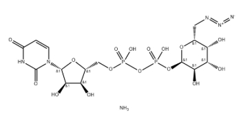 UDP-6-N3-Galactose