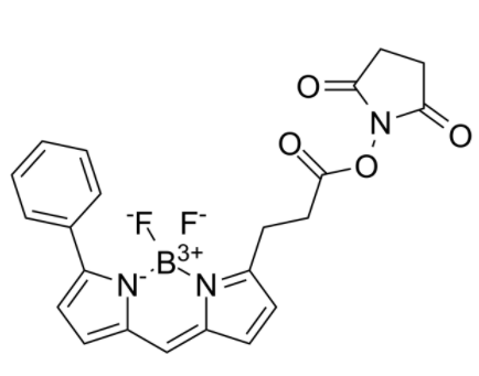 BIODIPY R6G ester 