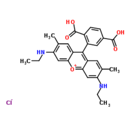 6-Rhodamine 6G COOH   