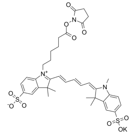磺基花青5 NHS酯	 