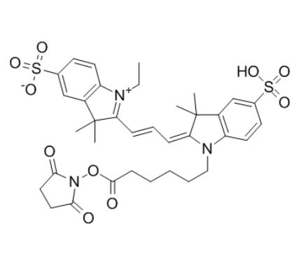 CY3-NHS酯	 