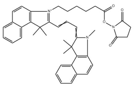 Cyanine3.5 NHS酯	 