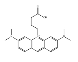 ATTO 495 Acid