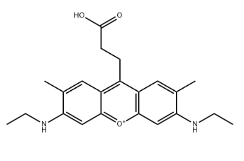 ATTO 520 Acid