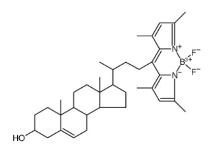 BODIPY-Cholesterol	 