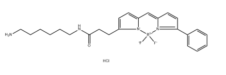 BDP R6G amine