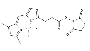 BDP FL NHS ester