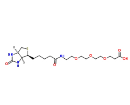 	Biotin-PEG3-acid 