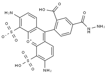 BP Fluor 488 Hydrazide 