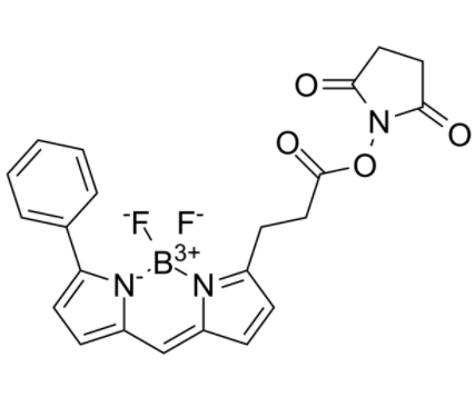 BIODIPY R6G ester 