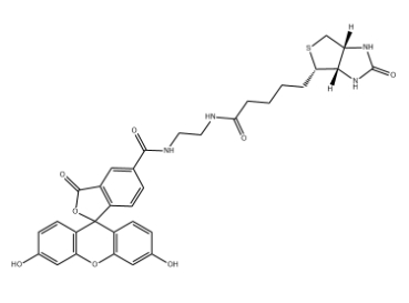 Biotin-4-fluorescein