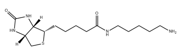Biotin-C5-amine