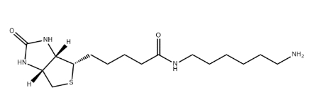 Biotin-C6-amine