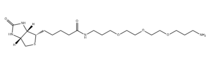 Biotin-C1-PEG3-C1-NH2