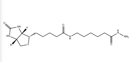 Biotin-LC-Hydrazide