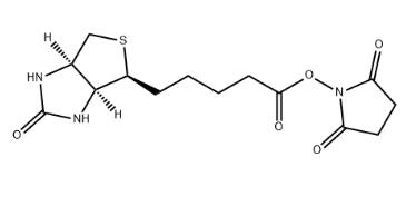 Biotin-NHS ester