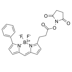 BIODIPY R6G ester 