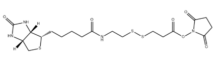 Biotin-SS-NHS ester