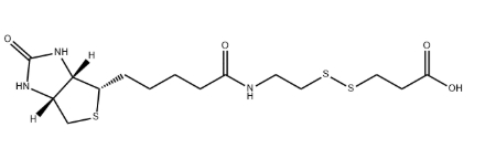 Biotin-SS-COOH