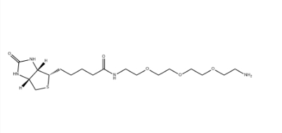 （+）-Biotin-PEG3-CH2CH2NH2