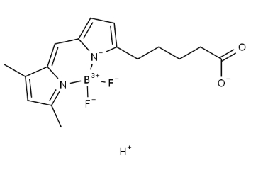 BODIPY FL C5