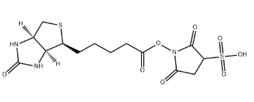 生物素衍生物