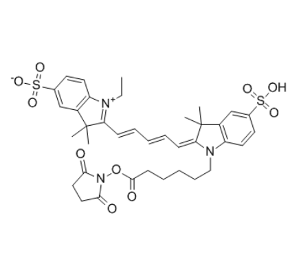 CY5-NHS酯	 