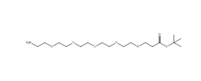 NH2-PEG5-CH2CH2COOtBu