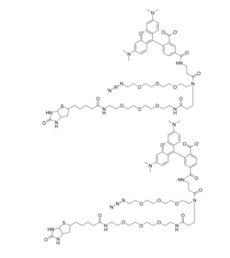 TAMRA-Azide-PEG-Biotin 