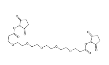 Bis-PEG5-NHS ester  