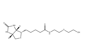 （+）-Biotin-PEG2-OH