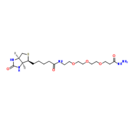 	Biotin-PEG3-propionic hydrazide  