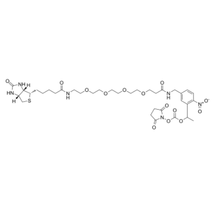 PC-Biotin-PEG4-NHS carbonate  