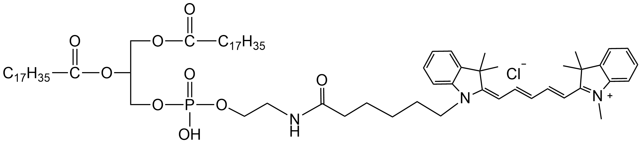 CY5标记二硬脂酰磷脂酰乙醇胺
