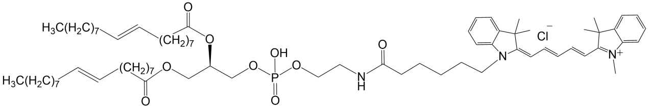 CY5标记二油酰磷脂酰乙醇胺，CY5标记DOPE