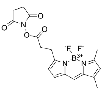 	BDP FL NHS Ester