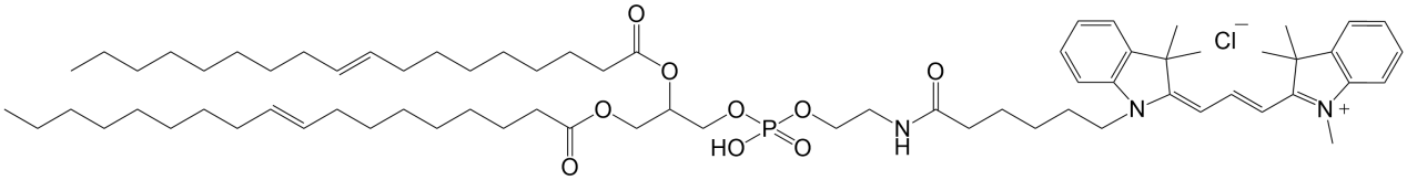 ,2-二油酰-sn-甘油-3-磷脂酰乙醇胺-Cy3，DOPE-CY3
