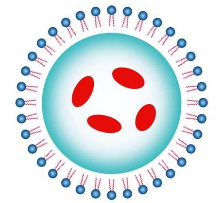 叶酸-药物靶向偶联物定制技术 Folic Acid–Drug Conjugate Targeted Delivery Customization