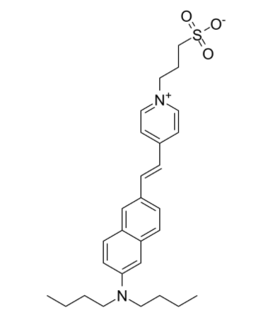 Di-4-ANEPPS 