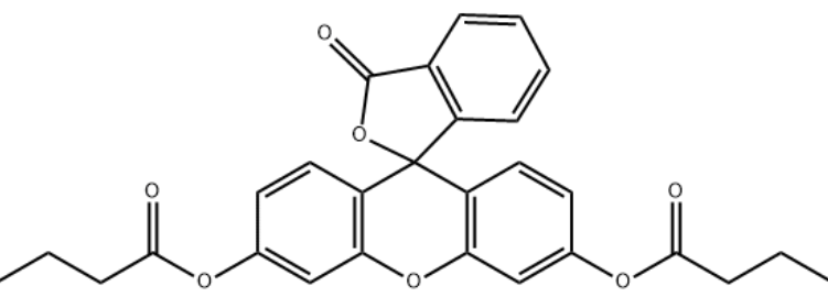 5'-荧光素氨基磷酸酯	 