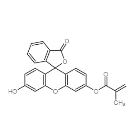 荧光素O-甲基丙烯酸酯	 