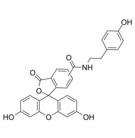 Fluorescein tyramide 