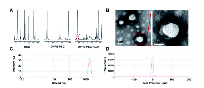 DPPE-PEG-RGD