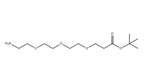 NH2-PEG3-CH2CH2COOtBu